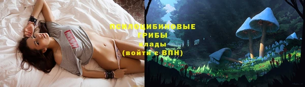 гидропоника Баксан